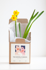 Цветущие растения в подарочной коробочке с валентикой