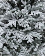 Заснеженная ель "Уссурийская" (Литая хвоя) 180 см / 1,8 м