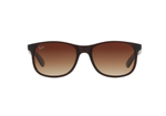 Ray-Ban Andy RB4202 607313