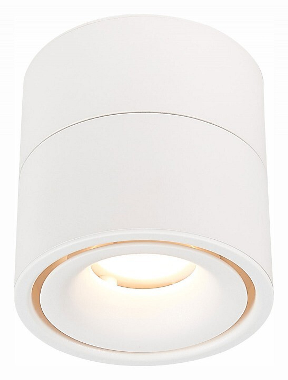 Светильник на штанге ST-Luce ST652 ST652.532.12