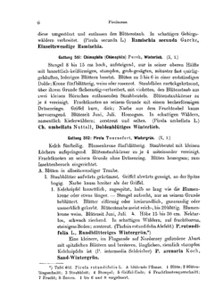 Thome's Flora von Deutschland, Österreich und der Schweiz. Band 4 | Thomé; O. Wilhelm