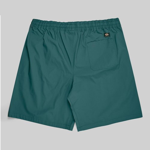 Шорты мужские Dickies Skateboarding 9