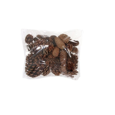 Пакет шишек 500 г [Арт. 51337]