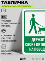 Табличка "Держите своих питомцев на поводке" на дверь и забор, для двора, дома, подъезда, 40х30 см, Silver Plane x Айдентика Технолоджи