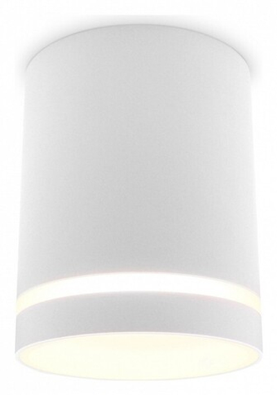 Накладной светильник Ambrella Light TN TN3202