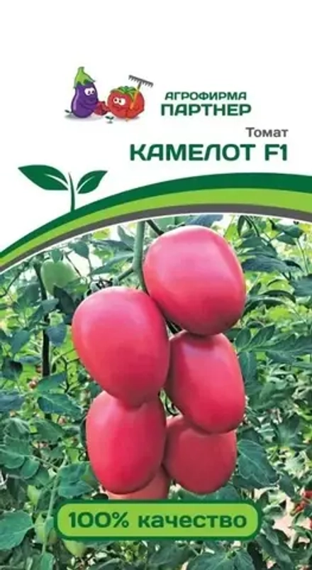Томат Камелот