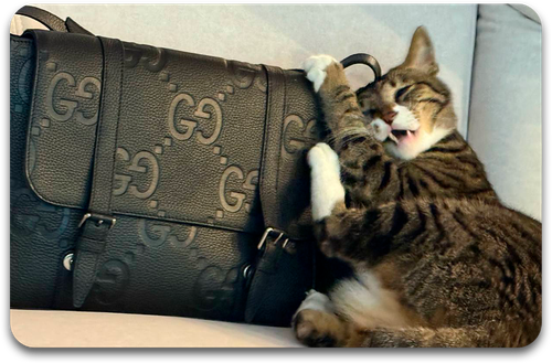 Карта / STRAY KIDS #4829