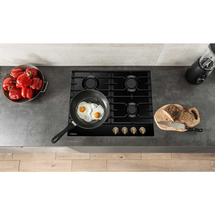 Газовая панель Hansa BHGA610791