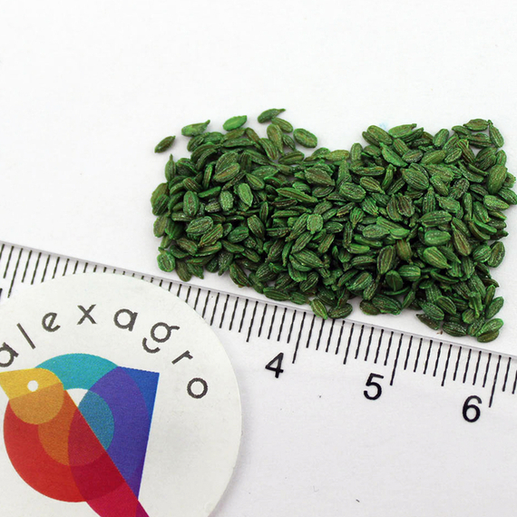 КАСПИЙ F1 семена моркови Bejo описание – фото 6