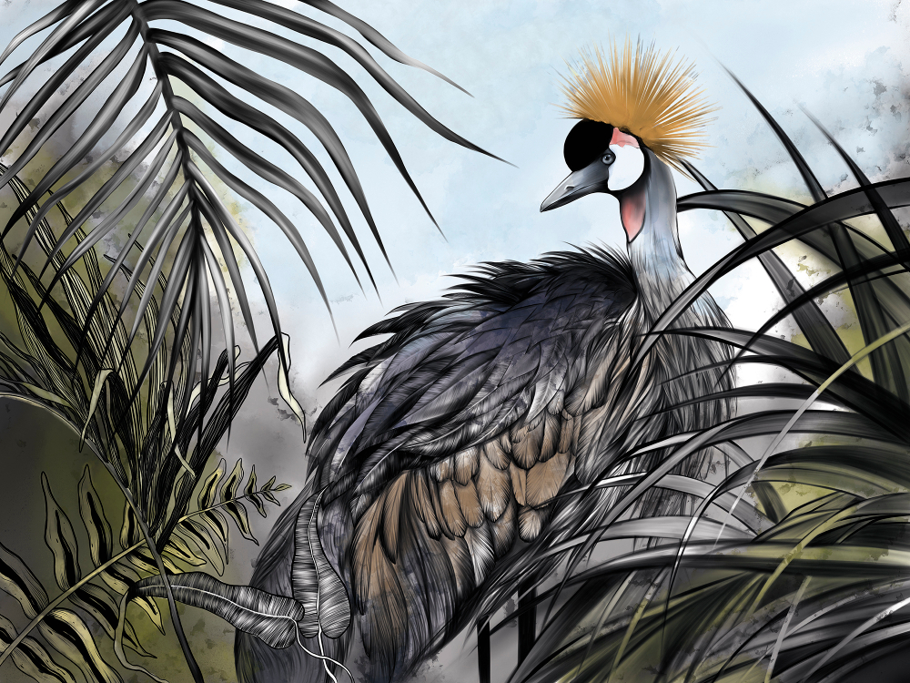 Коллекция Animality