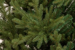 Искусственная елка Имперская 210 см., литая хвоя+ПВХ, ЕлкиТорг (144210)