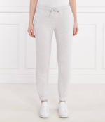 Спортивные штаны Gant - серый(4200709)