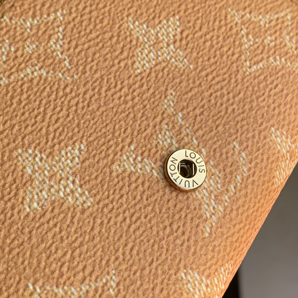 Louis Vuitton Victor Wallet