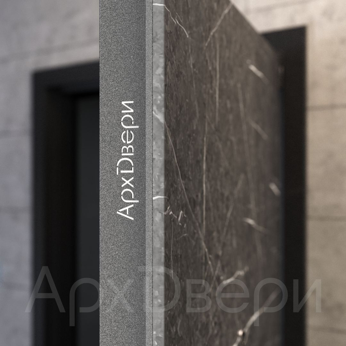 Входная дверь XL торос