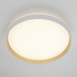 Citilux ENZO CL753510G LED RGB Светильник с пультом Белый + Золото