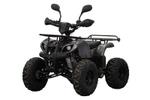 Квадроцикл UNIVERSAL ATV 125 TM Classic