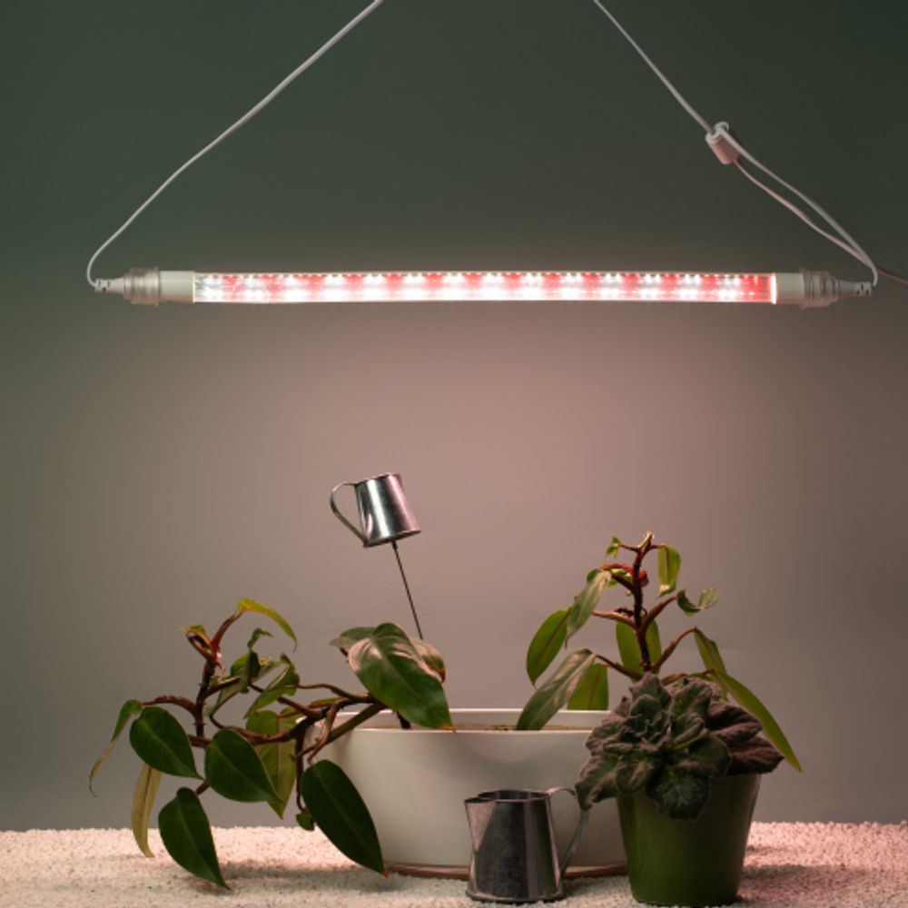 Светильник для растений, фитолампа светодиодная линейная ЭРА FITO-9W-Rа90-Т8+FITO-Holder IP65 2хG13 с выключателем, 1.5м | Линейные фито светильники