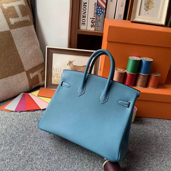 Hermes Birkin 25