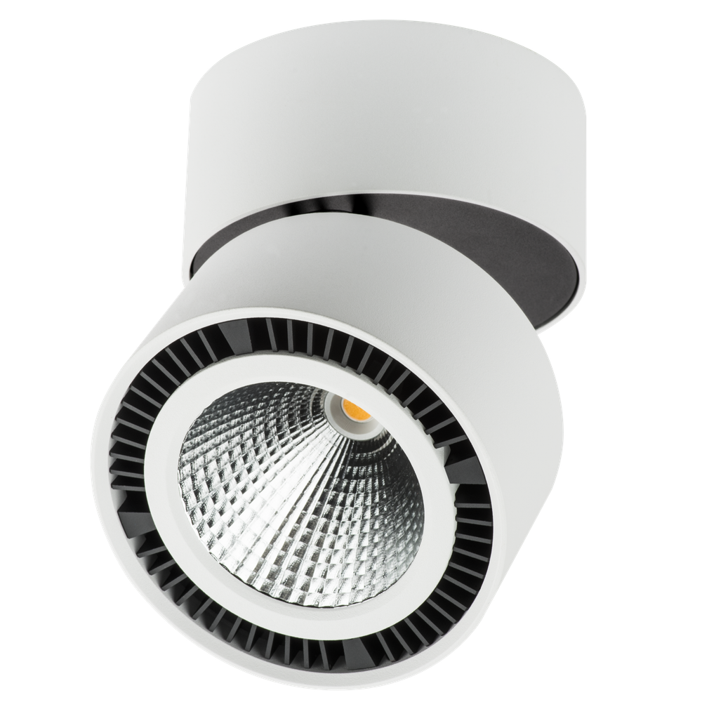 Накладной светодиодный светильник Lightstar Forte Muro 214850