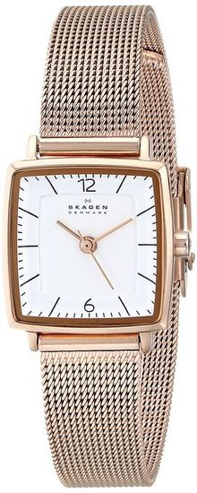 Наручные часы Skagen SKW2219