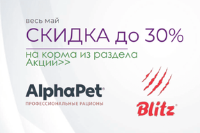 Распродажа кормов — BLITZ и AlphaPet со скидками, купить корм онлайн