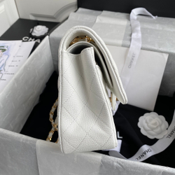 Chane1 Classic Flap Bag 25 cm