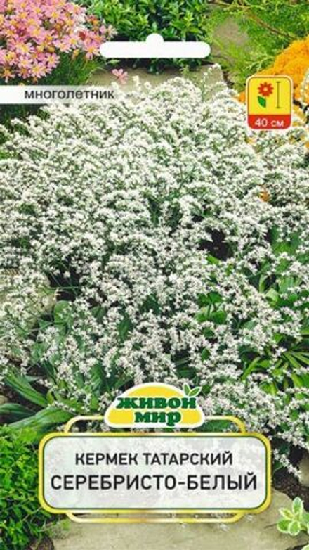 Kермек татарский "ЖМ. Сepeбpиcтo-бeлый" 0,1г., Польша.