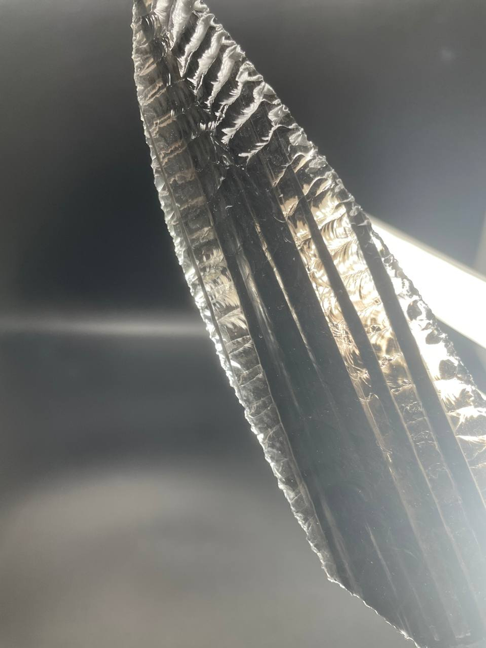 Обсидиановый клинок с рогом африканского буйвола гравировка волк 29 см