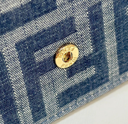 Fendi Wallet On Chain Baguette