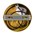 Подвесной светильник Freya FR6081PL-L10G