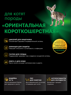 Корм сухой для котят породы Ориентальная короткошёрстная, с ягненком, 2кг, QUATTRO