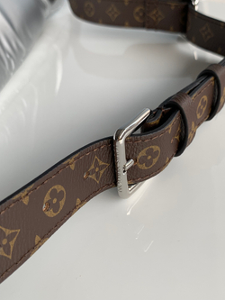 Louis Vuitton Maxi Pillow Bumbag