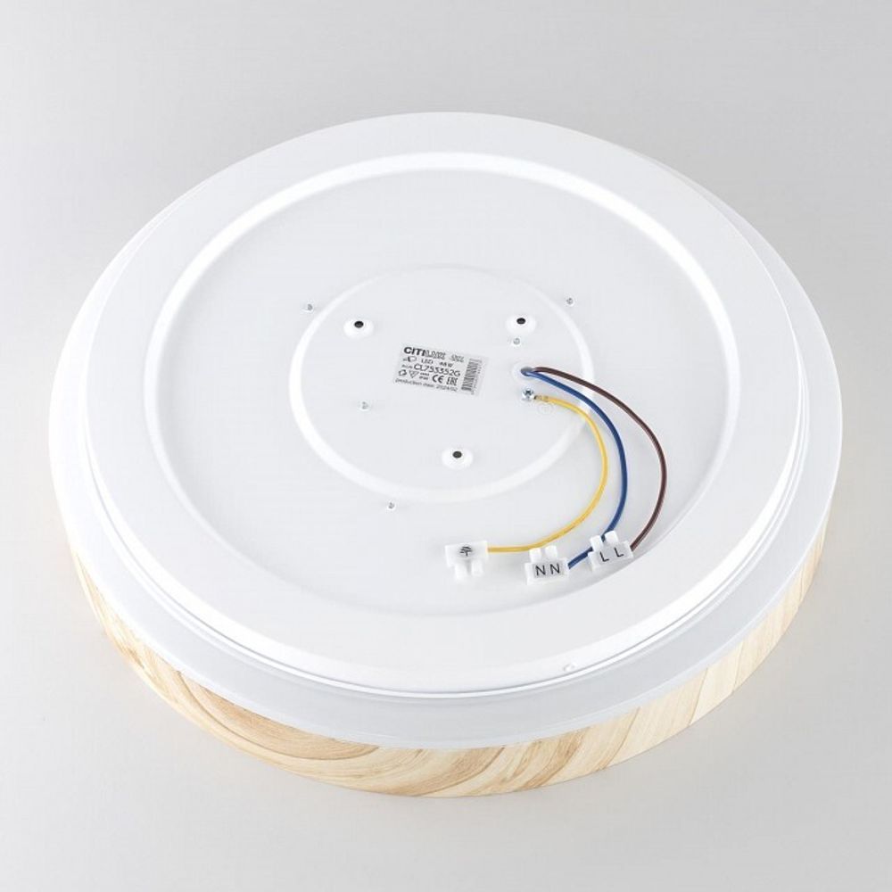 Накладной светильник Citilux ENZO CL753352G