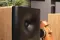 Dutch & Dutch 8c Speaker Black & Natural (1 шт)