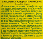 Гипсофила изящная Малиновка СМЦ-964