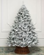 ель заснеженная "Швейцарская (Литая хвоя)