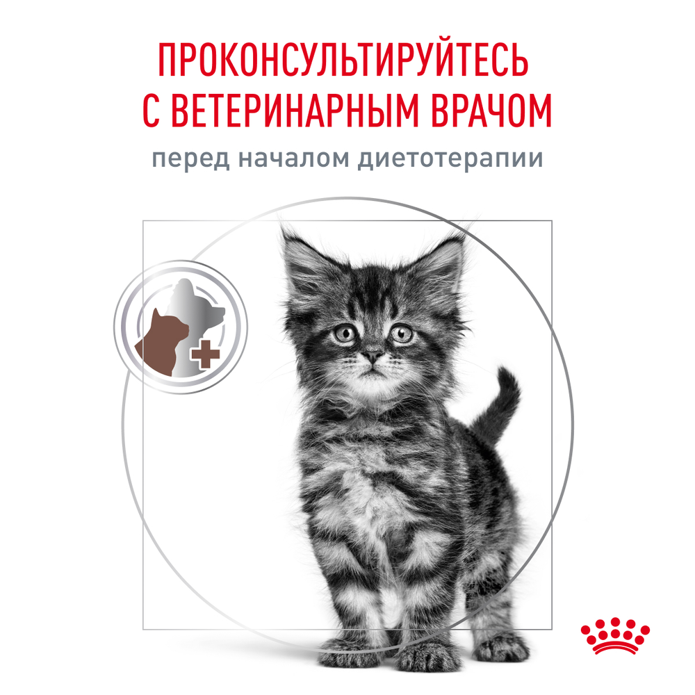 Royal Canin Gastrointestinal Kitten Гастроинтестинал Киттен Корм сухой диета для котят от 2 до 10 месяцев при нарушениях пищеварения 1кг