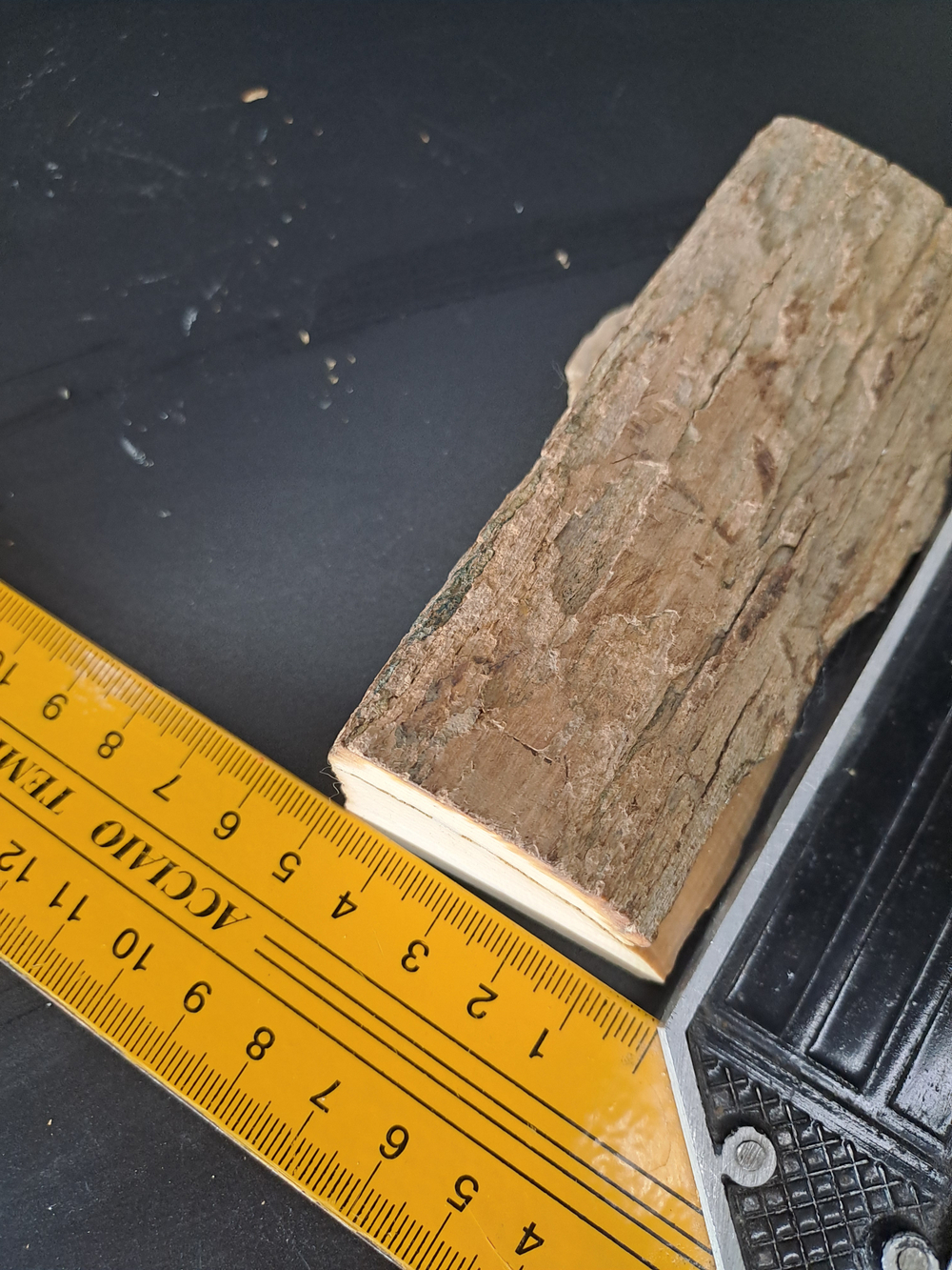 Бивень мамонта для коллекции и поделок