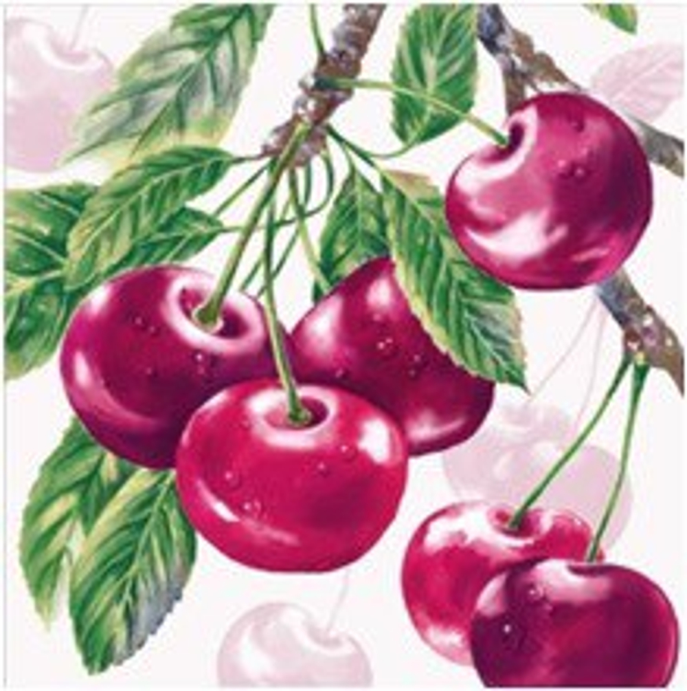 ВИШНЯ Салфетки DE LUXE 24*24 ,3 слойные *15