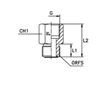 Адаптер AS D12 ORFS 13/16 - BSP 1/2