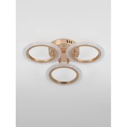 Светильник потолочный светодиодный Rivoli Evlalia 6178-703 LED 42Вт 3000-6000К с пультом | Rivoli