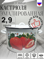 Кастрюля 2,9л с рисунком Клубника садовая бел. 1с16с
