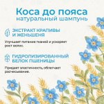 Шампунь "Коса до пояса", 250 мл (3,85 б)