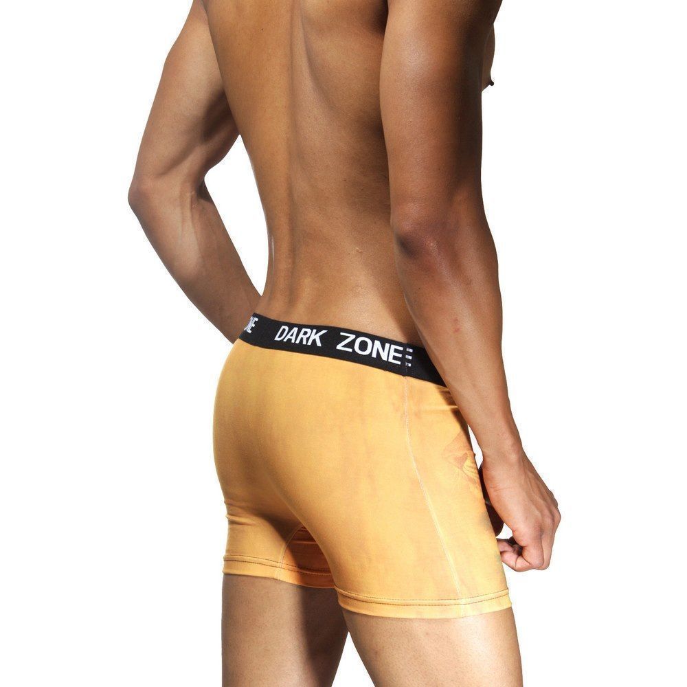 Трусы мужские боксеры с 3D принтом DARKZONE DZN1011