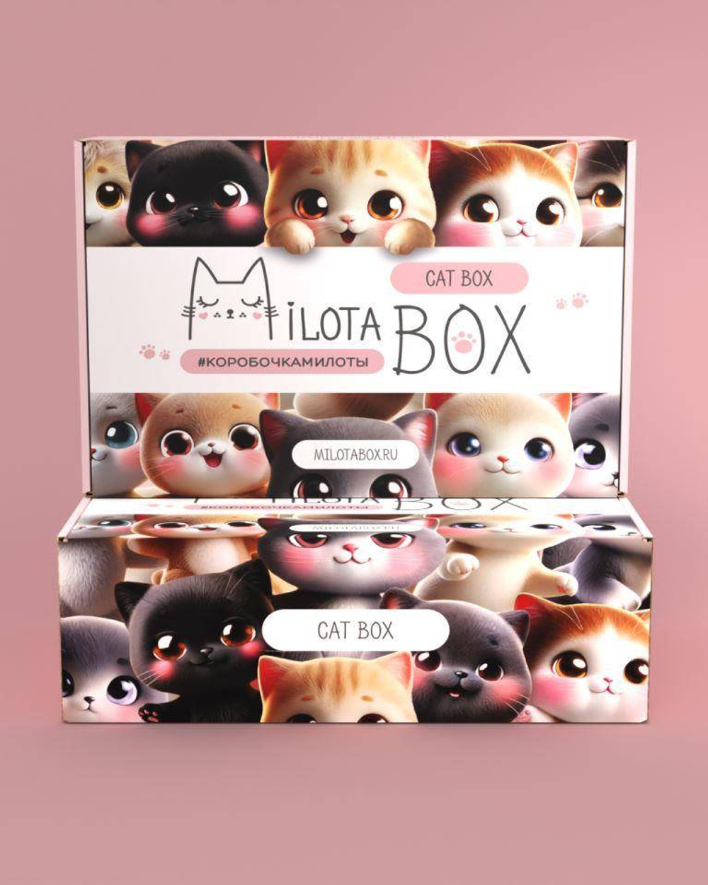 MilotaBox "Cat Box"