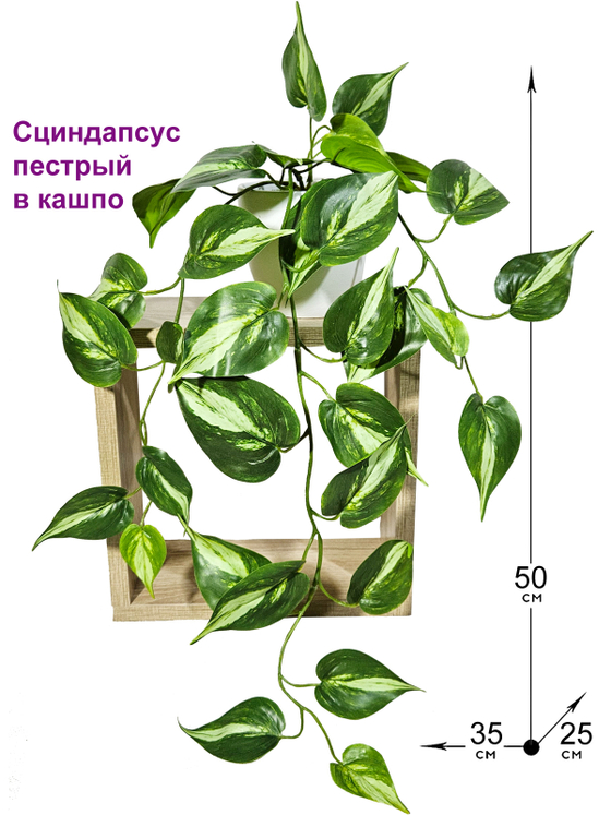 Искусственное растение Сциндапсус пестрый средний 50см в кашпо