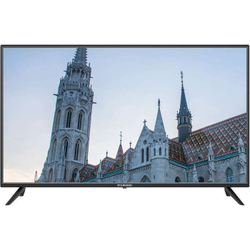 Телевизор ЖК 40" Starwind SW-LED40SB300 черный (SW-LED40SB300)