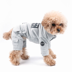 473 Спортивный костюм "Puppy Angel"