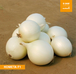 Комета F1 семена лука репчатого (Nunhems / Нюнемс)