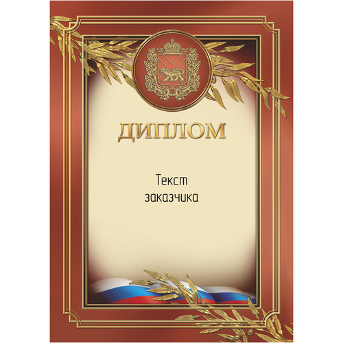 PNDiploma-505 с текстом